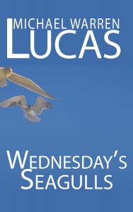 Wednesday's Seagulls