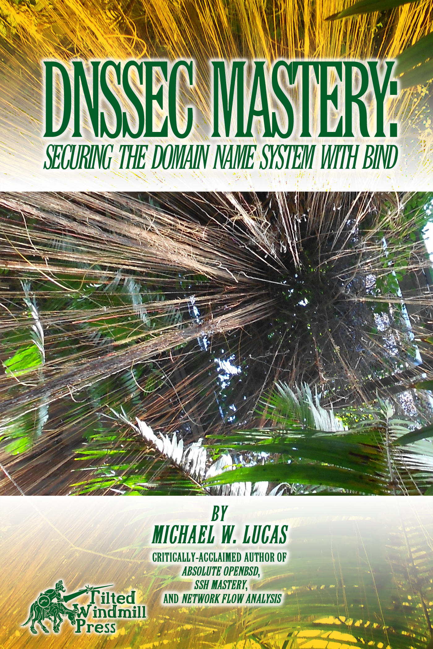 DNSSEC Mastery (1st ed)